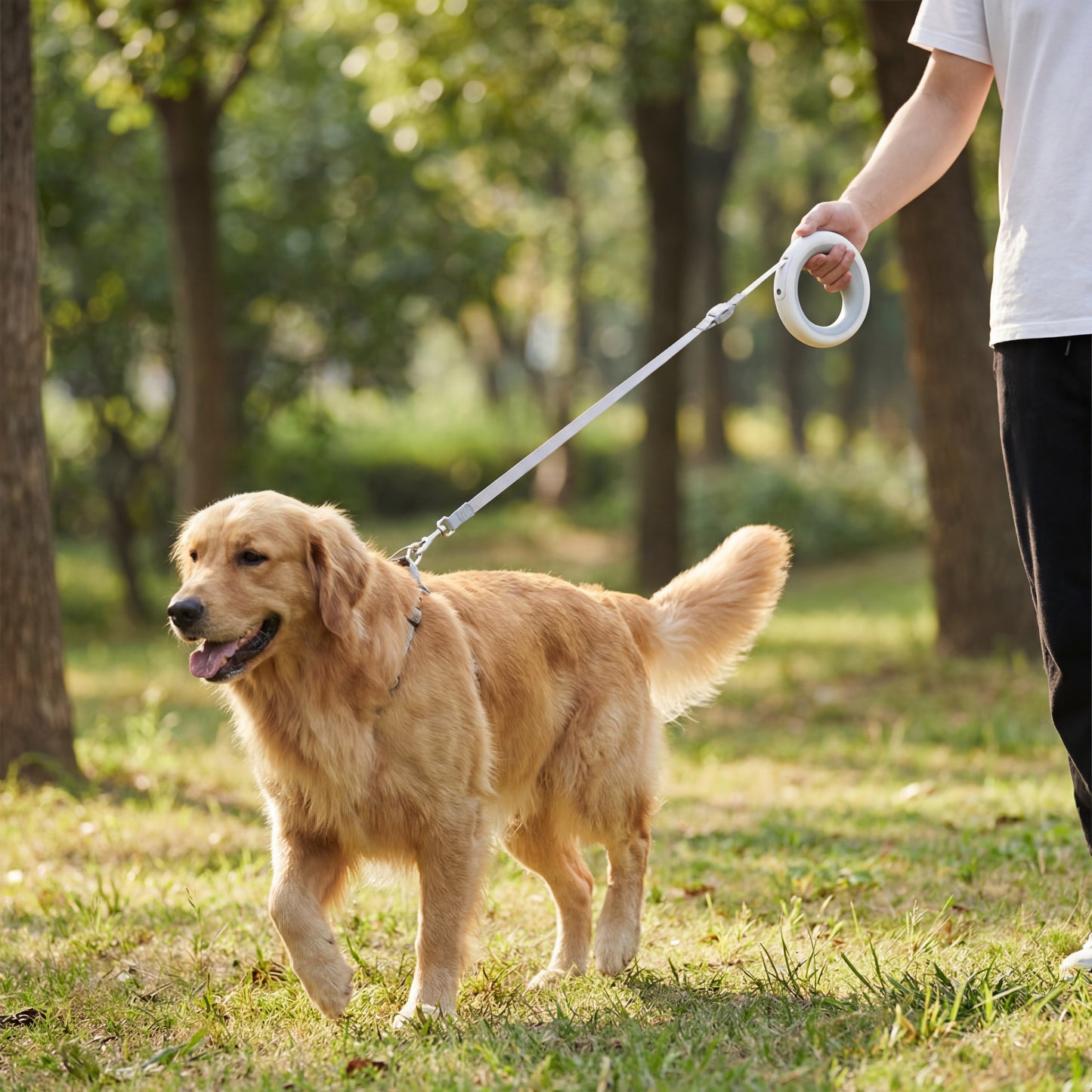 Luminous Retractable Dog Walking Rope